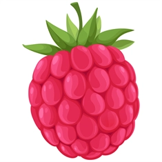 Raspberry Classroom Fruit Transparent Sticker